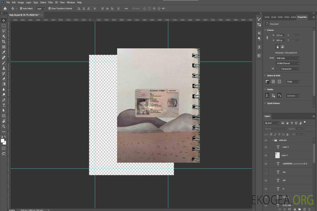 Photolook du permis de séjour au Royaume-Uni template